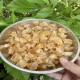 Mủ trôm hạt lớn 1kg